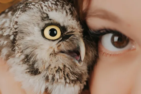 Kasino Loco Win Podpora